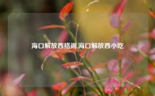 海口解放西格阁,海口解放西小吃