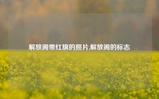 解放阁带红旗的照片,解放阁的标志