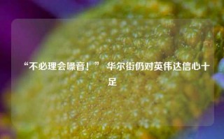 “不必理会噪音！” 华尔街仍对英伟达信心十足