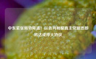 中东紧张局势降温！以色列和黎真主党据悉即将达成停火协议