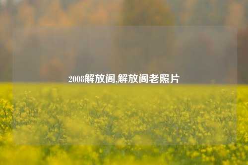 2008解放阁,解放阁老照片-第1张图片-解放阁