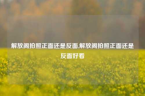 解放阁拍照正面还是反面,解放阁拍照正面还是反面好看-第1张图片-解放阁