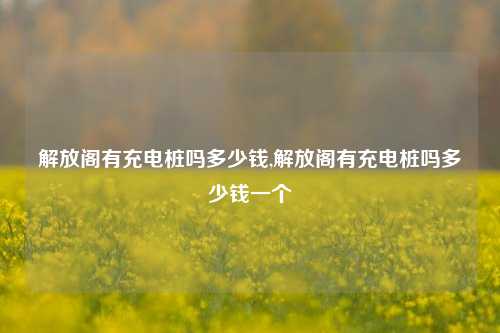 解放阁有充电桩吗多少钱,解放阁有充电桩吗多少钱一个-第1张图片-解放阁