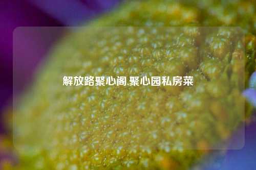 解放路聚心阁,聚心园私房菜-第1张图片-解放阁