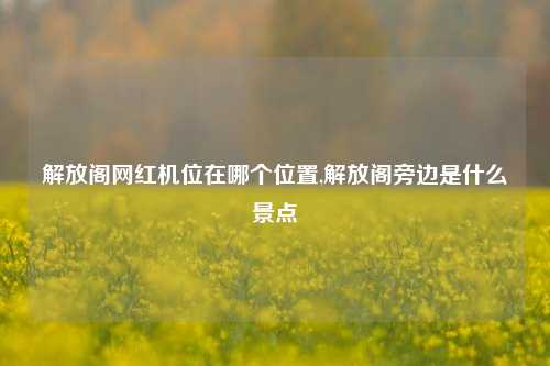 解放阁网红机位在哪个位置,解放阁旁边是什么景点-第1张图片-解放阁