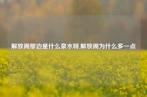 解放阁那边是什么泉水呀,解放阁为什么多一点-第1张图片-解放阁