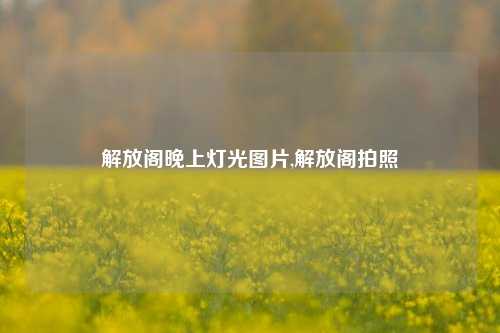 解放阁晚上灯光图片,解放阁拍照-第1张图片-解放阁