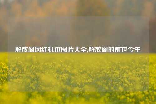 解放阁网红机位图片大全,解放阁的前世今生-第1张图片-解放阁