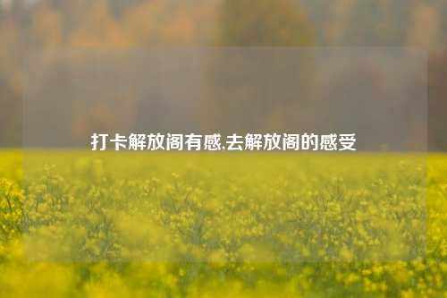 打卡解放阁有感,去解放阁的感受-第1张图片-解放阁