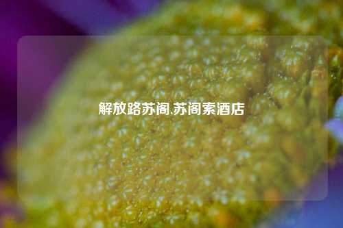 解放路苏阁,苏阁索酒店-第1张图片-解放阁