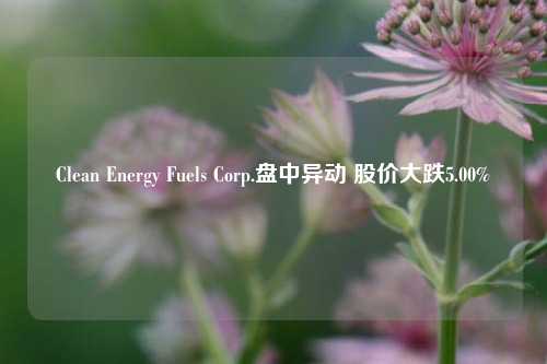 Clean Energy Fuels Corp.盘中异动 股价大跌5.00%-第1张图片-解放阁