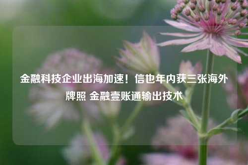 金融科技企业出海加速！信也年内获三张海外牌照 金融壹账通输出技术-第1张图片-解放阁