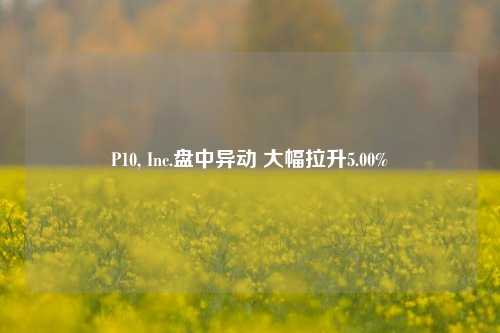 P10, Inc.盘中异动 大幅拉升5.00%-第1张图片-解放阁