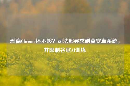 剥离Chrome还不够？司法部寻求剥离安卓系统，并限制谷歌AI训练-第1张图片-解放阁