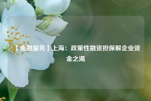 【金融服务】上海：政策性融资担保解企业资金之渴-第1张图片-解放阁