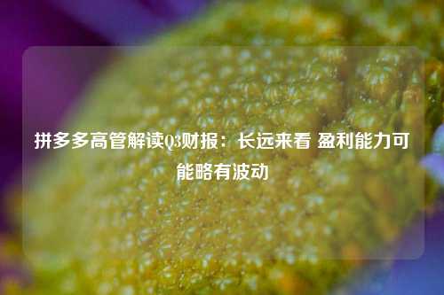 拼多多高管解读Q3财报：长远来看 盈利能力可能略有波动-第1张图片-解放阁