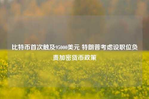 比特币首次触及95000美元 特朗普考虑设职位负责加密货币政策-第1张图片-解放阁