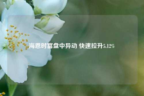 海恩时富盘中异动 快速拉升5.12%-第1张图片-解放阁