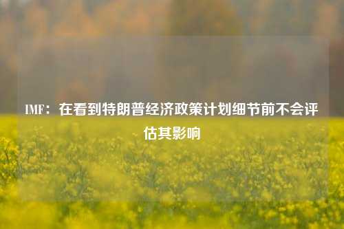 IMF：在看到特朗普经济政策计划细节前不会评估其影响-第1张图片-解放阁