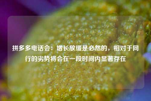 拼多多电话会：增长放缓是必然的，相对于同行的劣势将会在一段时间内显著存在-第1张图片-解放阁