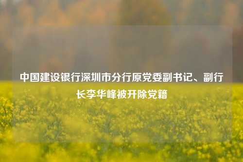 中国建设银行深圳市分行原党委副书记、副行长李华峰被开除党籍-第1张图片-解放阁