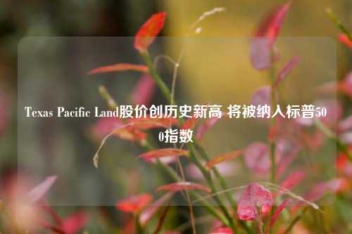 Texas Pacific Land股价创历史新高 将被纳入标普500指数-第1张图片-解放阁