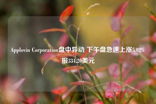 Applovin Corporation盘中异动 下午盘急速上涨5.02%报334.20美元-第1张图片-解放阁