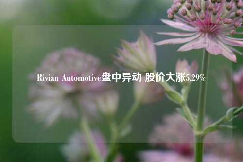 Rivian Automotive盘中异动 股价大涨5.29%-第1张图片-解放阁