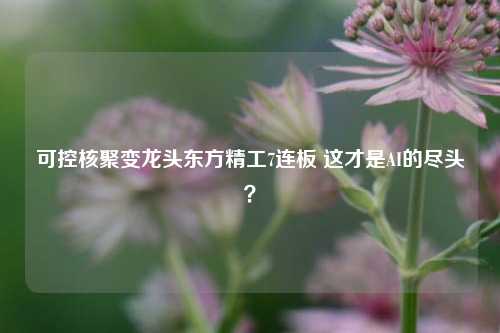 可控核聚变龙头东方精工7连板 这才是AI的尽头？-第1张图片-解放阁