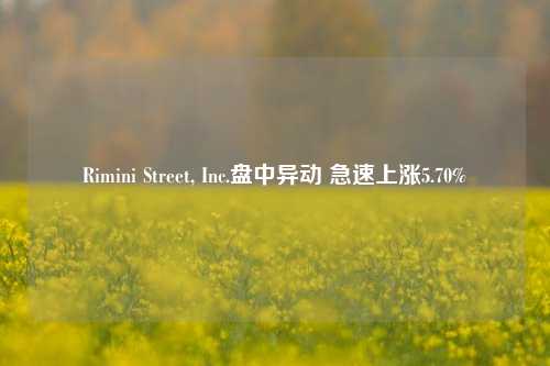 Rimini Street, Inc.盘中异动 急速上涨5.70%-第1张图片-解放阁