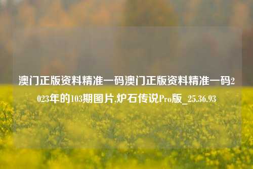 澳门正版资料精准一码澳门正版资料精准一码2023年的103期图片,炉石传说Pro版_25.36.93-第1张图片-解放阁