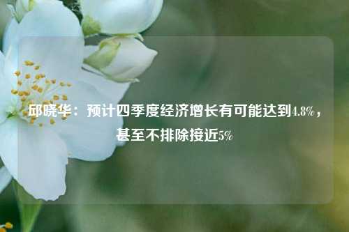 邱晓华：预计四季度经济增长有可能达到4.8%，甚至不排除接近5%-第1张图片-解放阁