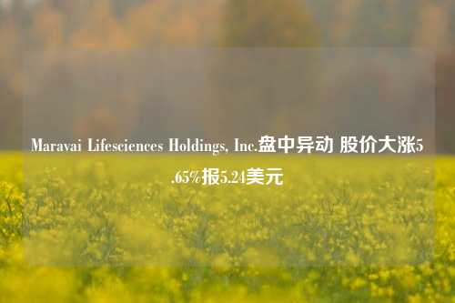 Maravai Lifesciences Holdings, Inc.盘中异动 股价大涨5.65%报5.24美元-第1张图片-解放阁