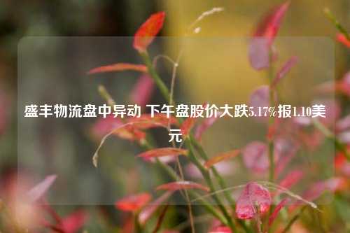 盛丰物流盘中异动 下午盘股价大跌5.17%报1.10美元-第1张图片-解放阁