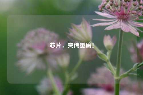 芯片，突传重磅！-第1张图片-解放阁