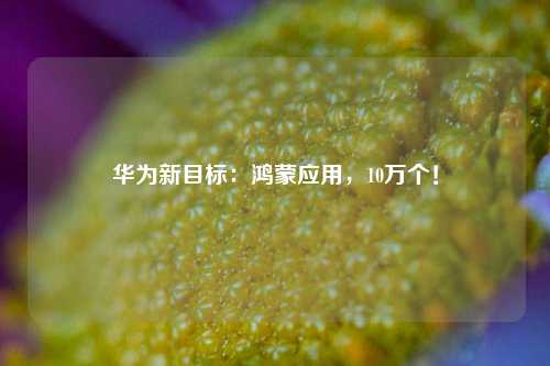 华为新目标：鸿蒙应用，10万个！-第1张图片-解放阁