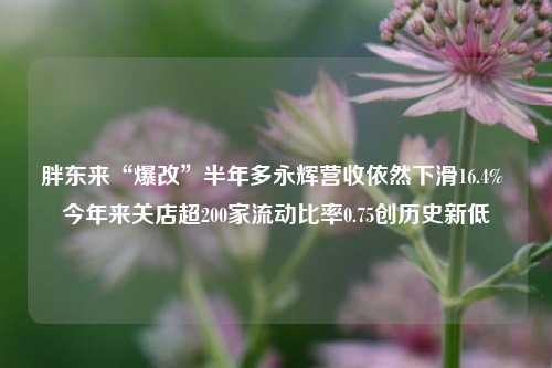 胖东来“爆改”半年多永辉营收依然下滑16.4% 今年来关店超200家流动比率0.75创历史新低-第1张图片-解放阁