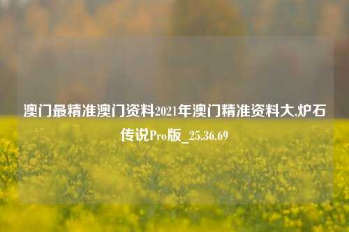 澳门最精准澳门资料2021年澳门精准资料大,炉石传说Pro版_25.36.69-第1张图片-解放阁