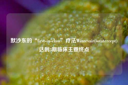 默沙东的“first-in-class”疗法Winrevair(sotatercept)达到3期临床主要终点-第1张图片-解放阁