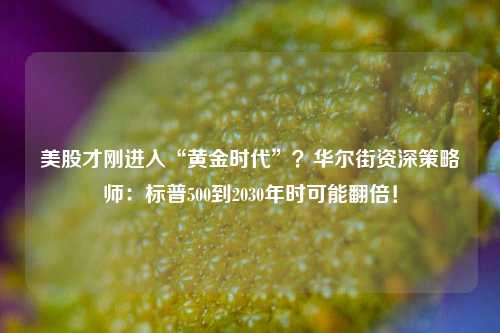 美股才刚进入“黄金时代”？华尔街资深策略师：标普500到2030年时可能翻倍！-第1张图片-解放阁