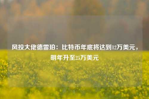 风投大佬德雷珀：比特币年底将达到12万美元，明年升至25万美元-第1张图片-解放阁