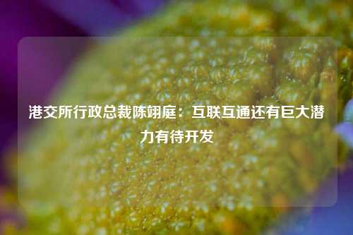 港交所行政总裁陈翊庭：互联互通还有巨大潜力有待开发-第1张图片-解放阁