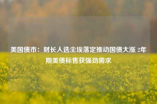 美国债市：财长人选尘埃落定推动国债大涨 2年期美债标售获强劲需求-第1张图片-解放阁