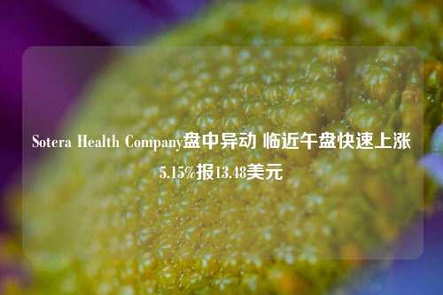 Sotera Health Company盘中异动 临近午盘快速上涨5.15%报13.48美元-第1张图片-解放阁