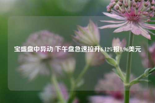 宝盛盘中异动 下午盘急速拉升6.12%报1.96美元-第1张图片-解放阁