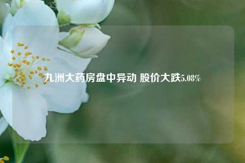 九洲大药房盘中异动 股价大跌5.08%-第1张图片-解放阁