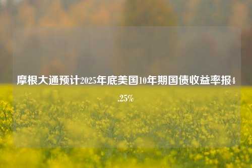 摩根大通预计2025年底美国10年期国债收益率报4.25%-第1张图片-解放阁