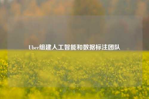 Uber组建人工智能和数据标注团队-第1张图片-解放阁