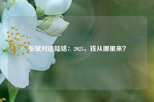 张斌对话陆铭：2025，钱从哪里来？-第1张图片-解放阁