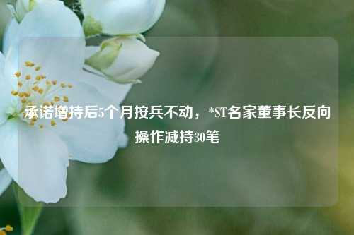 承诺增持后5个月按兵不动，*ST名家董事长反向操作减持30笔-第1张图片-解放阁